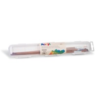 Primo Acrylic Brush Set of 5 in case (2 Round, 3 Flat)