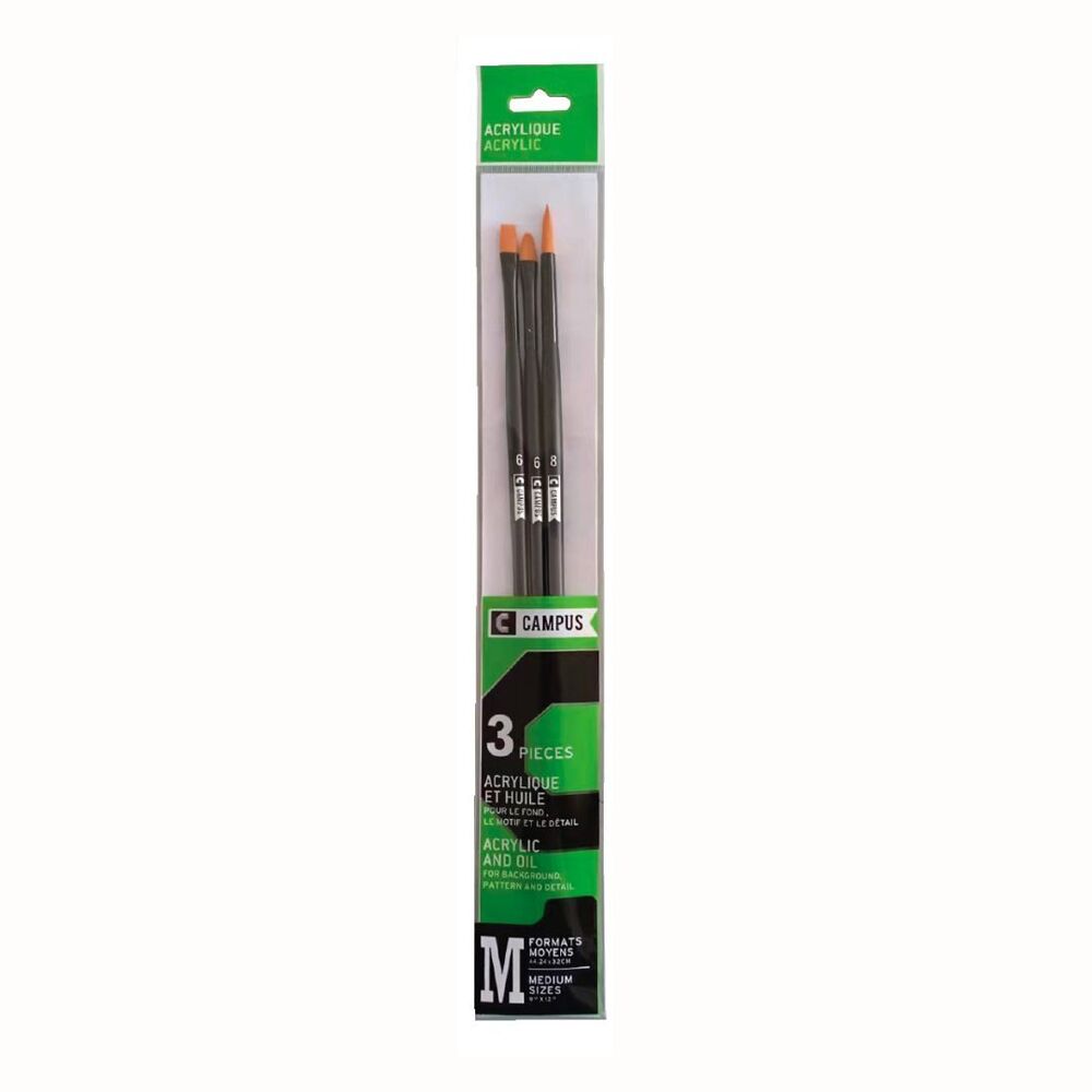 Campus Acrylic Brush Set (Medium)