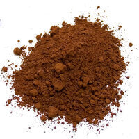 RGM Earth Pigment - Burnt Umber 100G (SER 1)